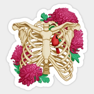 Cardinal and Ribcage Sticker